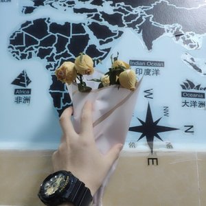 哥哥钓我好不好