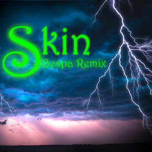 Skin (Bespa Remix)