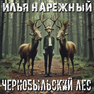 Чернобыльский лес