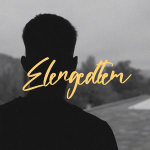 Elengedtem