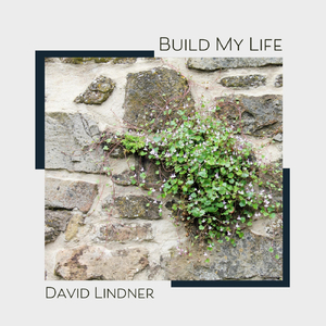 Build My Life (Solo Piano Instrumental)