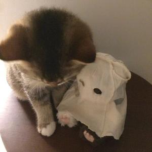 精忠报国 (停顿版)