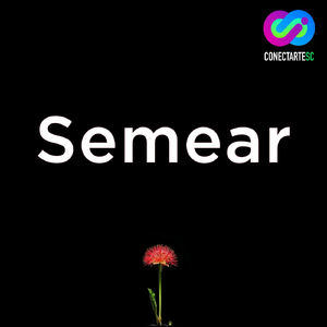 Semear