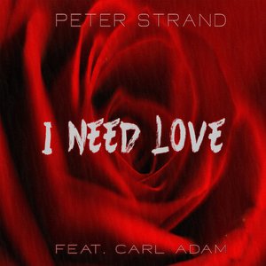I Need Love