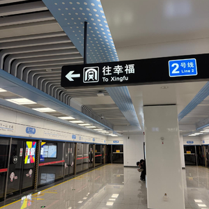 别把择木而栖当成回心转意