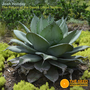 The Return Of the Desert Lotus Technic