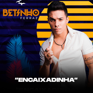 Encaixadinha