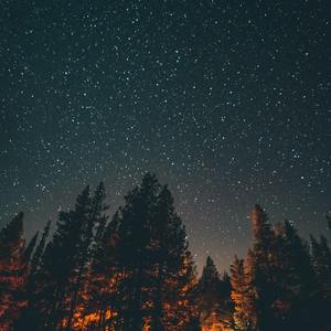 寄意寒星
