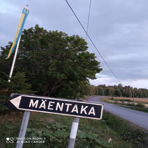 Mäentaa