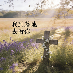 我到墓地去看你