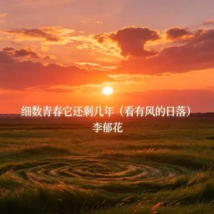 细数青春它还剩几年（看有风的日落）