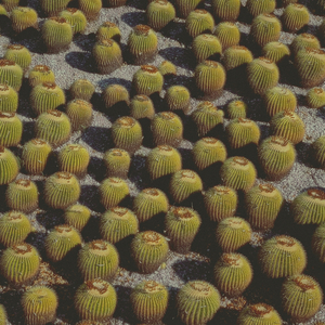 Safe Place (feat. Lilia)