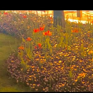 By your side（prod by NICONNOR、Birds）