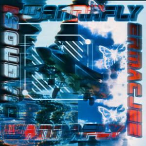 WannaFly (feat. Diagnøsi)