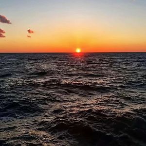 灰烬里的指纹_小小怪