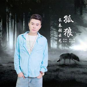 孤狼 (DJ版)