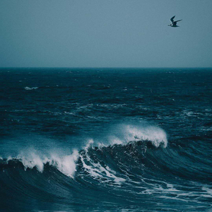 或许这就是最好的距离