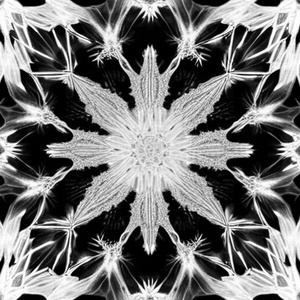 Question...? (slowed)