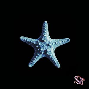 ESTRELLA DE MAR (feat. splintercrome)