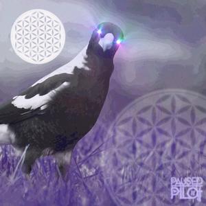 Magstep
