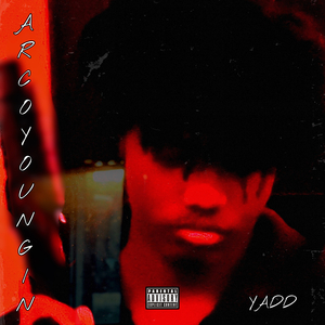 Yadd