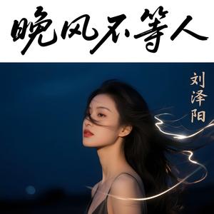 晚风不等人