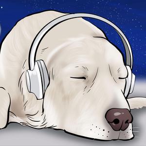 犬が時間通りに眠るための音楽