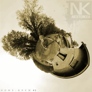 N.S.O.6