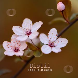 Distil