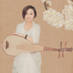 女儿情 (琵琶演奏)