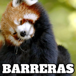 barreras