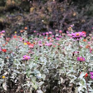 拥有你的日子-沛瑾