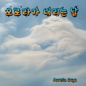 오로라가 내리는 날