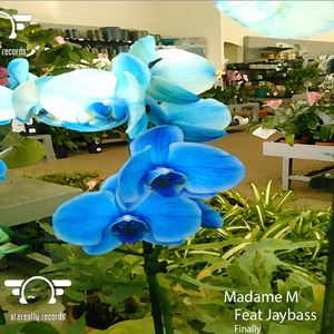 Finally (Additionnal Mix)