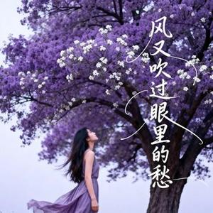 风又吹过眼里的愁 (Remix)