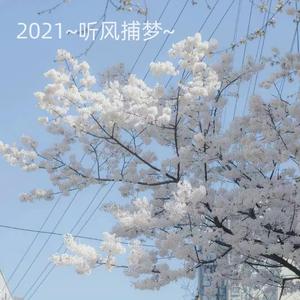 2021~听风捕梦~