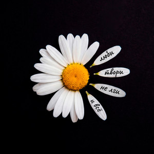 Люби, твори, не лги и всё (Original Mix)