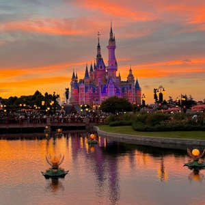 我不知道我有多喜欢你