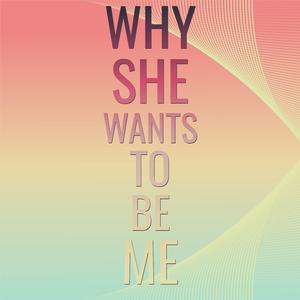 I'm Not A Singer descriptor