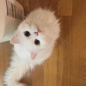 暖暖