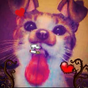 sorryy! (feat. jayacuu)