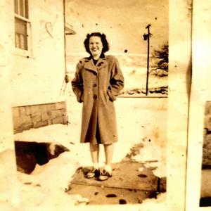 Reptiles amphibians & fish