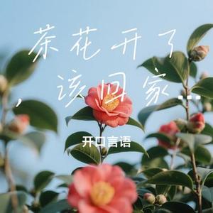 茶花开了，该回家了 (开口言语 Remix)