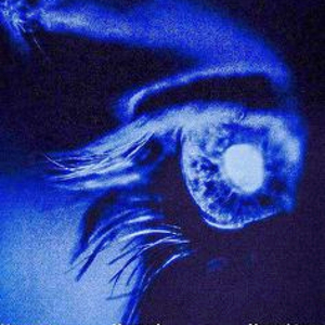 PHONK - your soul [by.donttrustthem]