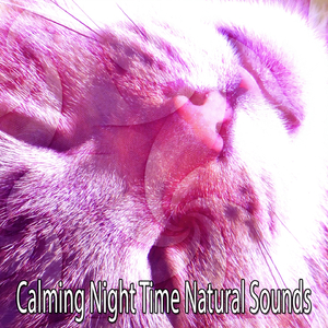 Rain On A Hot Tin Roof