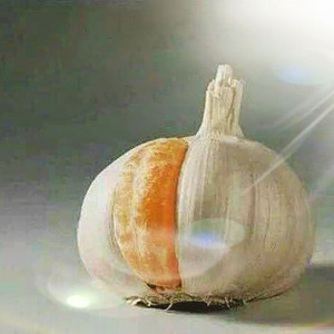 吃瓜群众（与阿辉不插电版）