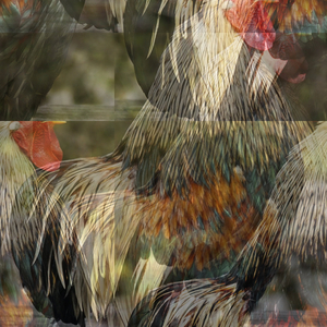 Biologize