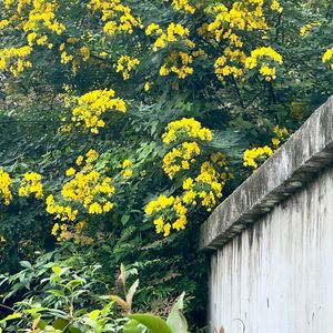 一个人（是翻唱）