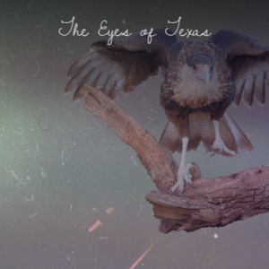 Don't Think It Ain't Been Fun, Dear 'Cause It Ain't