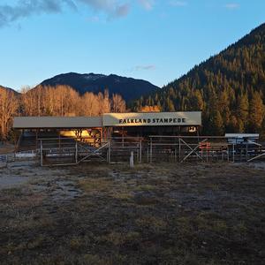 Down but not out Mia-tunes